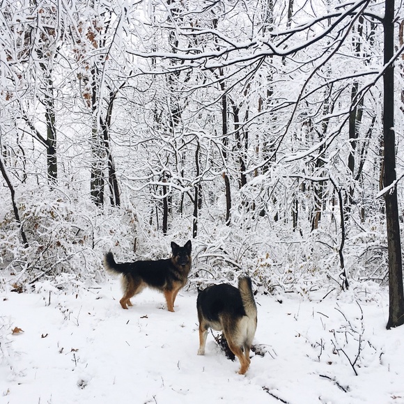 Meet your Posher, Eryn - Picture 6 of 8